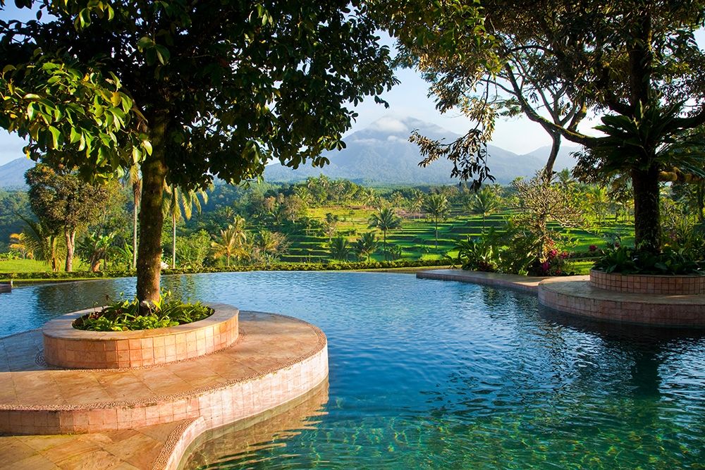 Indonesia-Java Landscape with pool and rice terraces at resort art print by Jaynes Gallery for $57.95 CAD
